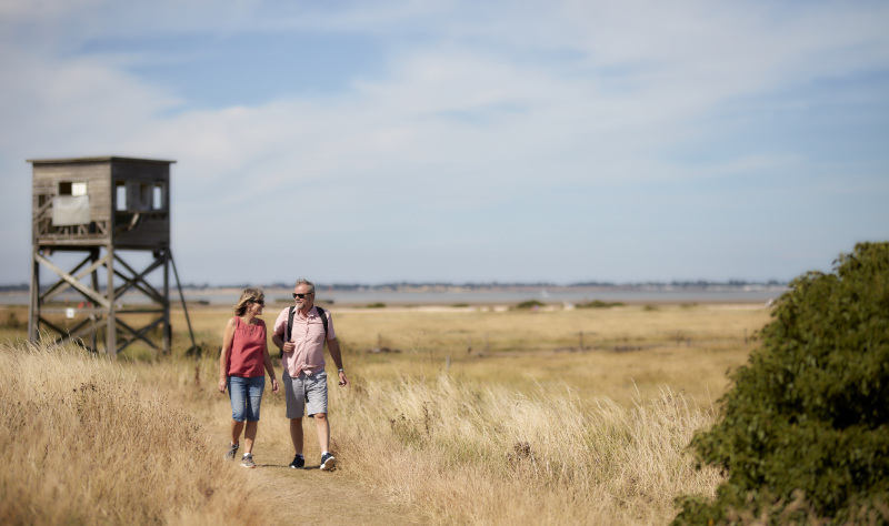 Cool strides on the Essex coast 